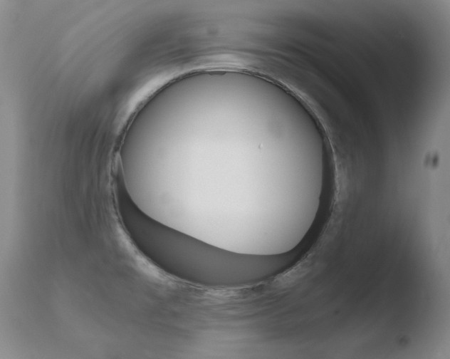 X0000110671477200906121049