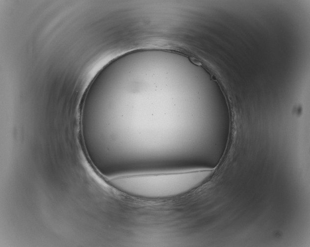 X0000110671479200906121049