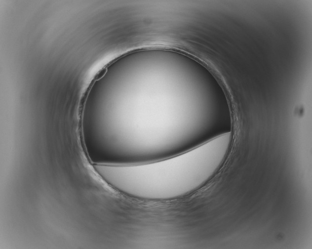 X0000110671480200906121048