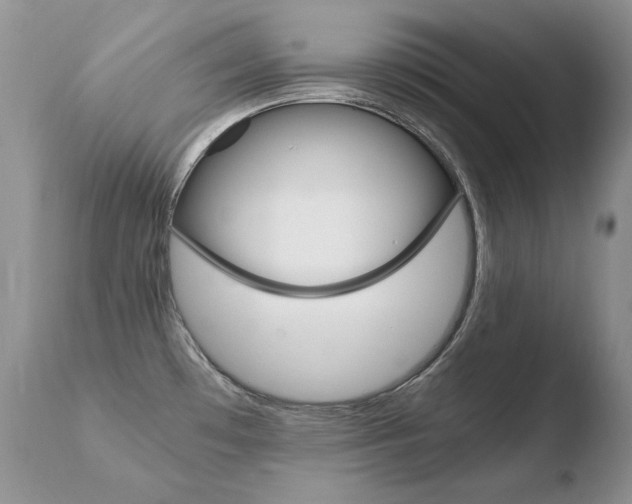 X0000110671481200906121048