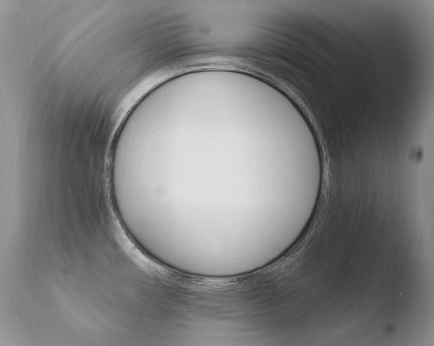 X0000110671482200906121048