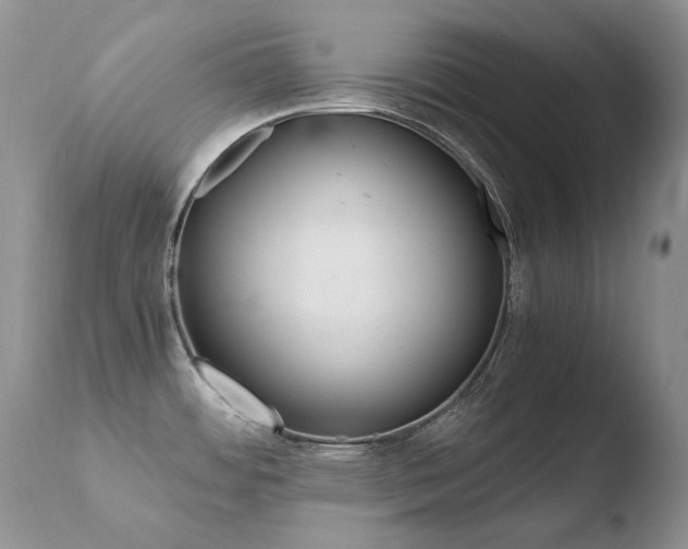X0000110671484200906121048