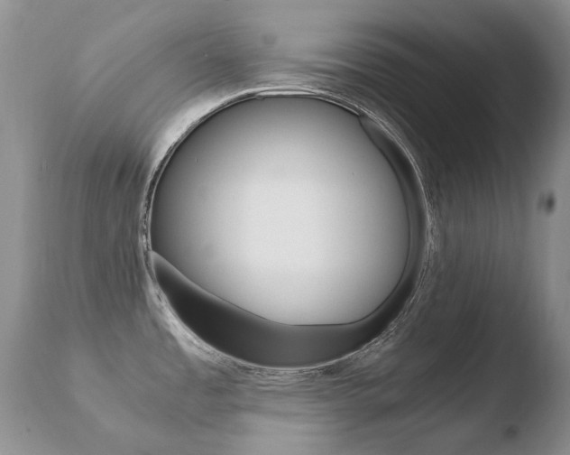 X0000110671485200906121048