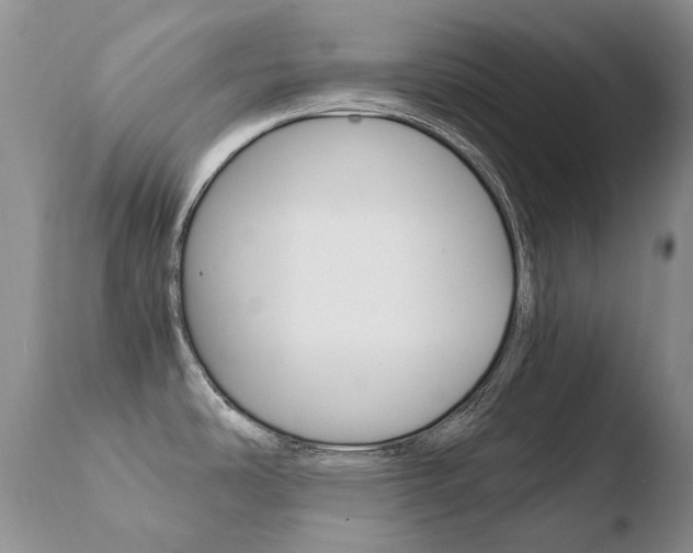 X0000110671486200906121048