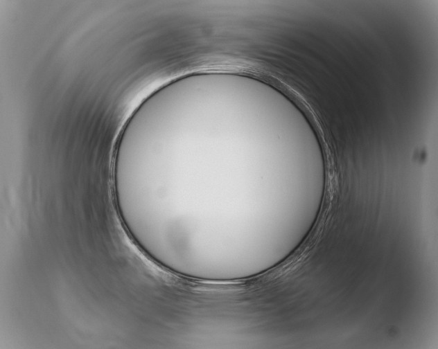 X0000110671487200906121048