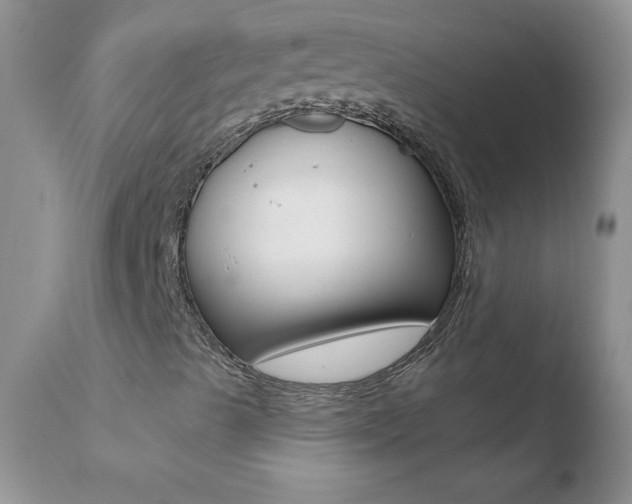 X0000110671489200906121048