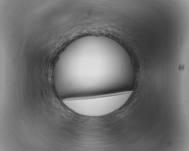 X0000110671490200906121048