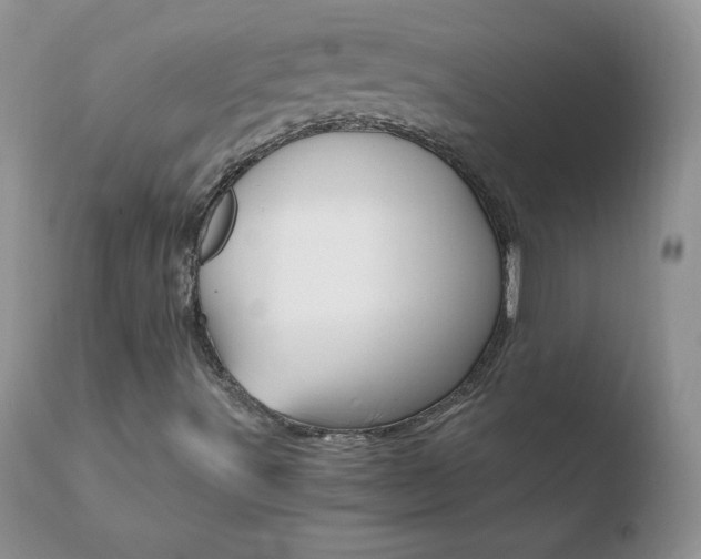 X0000110671491200906121048