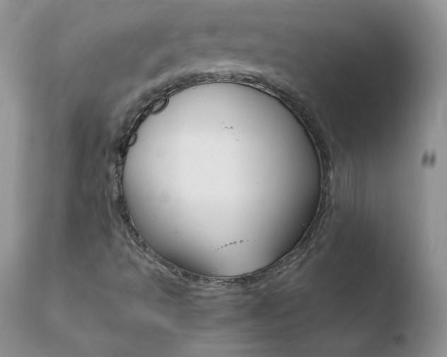 X0000110671493200906121048