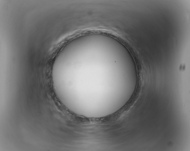 X0000110671494200906121048