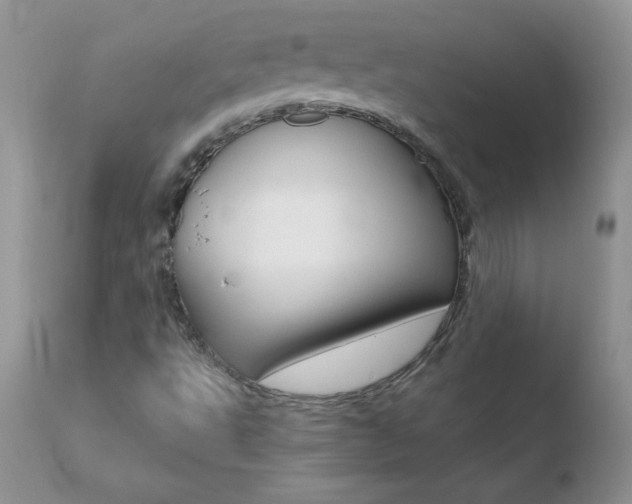 X0000110671495200906121048