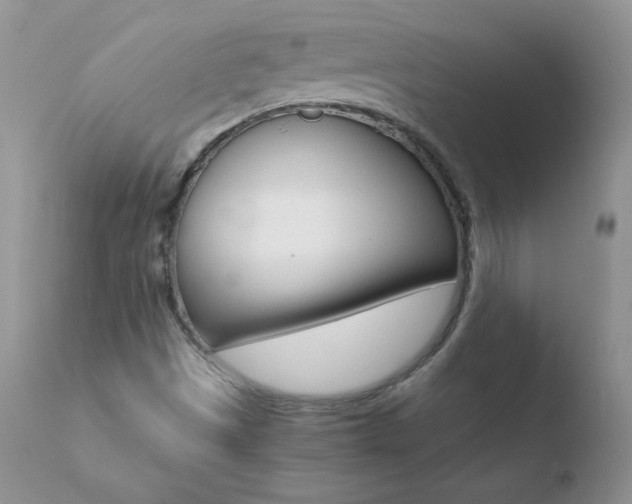 X0000110671497200906121048