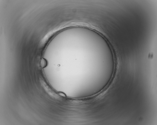 X0000110671499200906121048