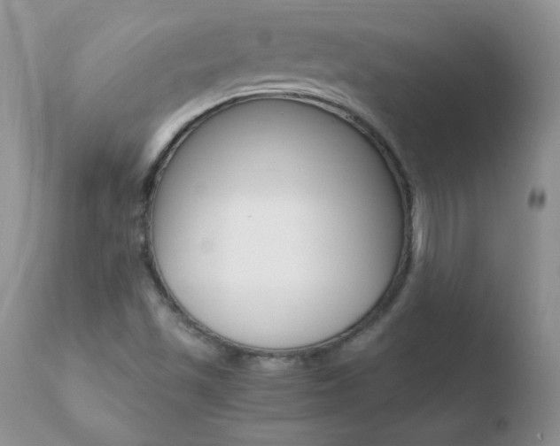 X0000110671501200906121048