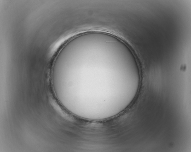 X0000110671503200906121048