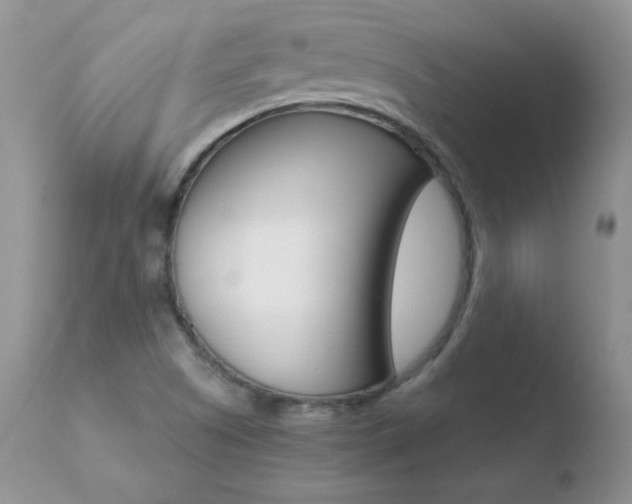 X0000110671505200906121048
