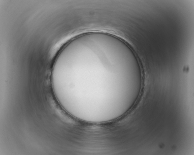 X0000110671507200906121048