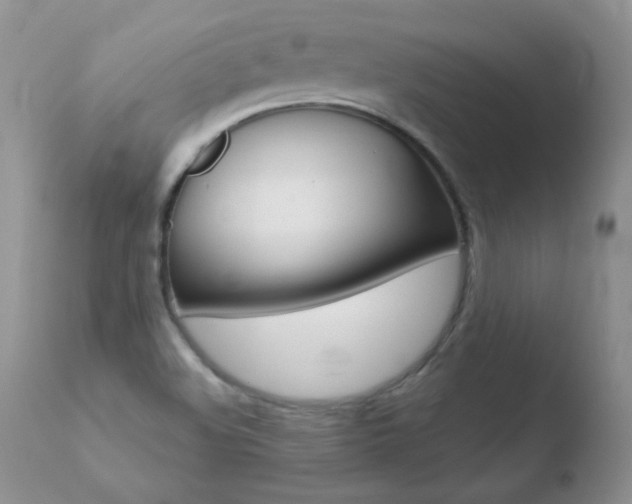 X0000110671508200906121048