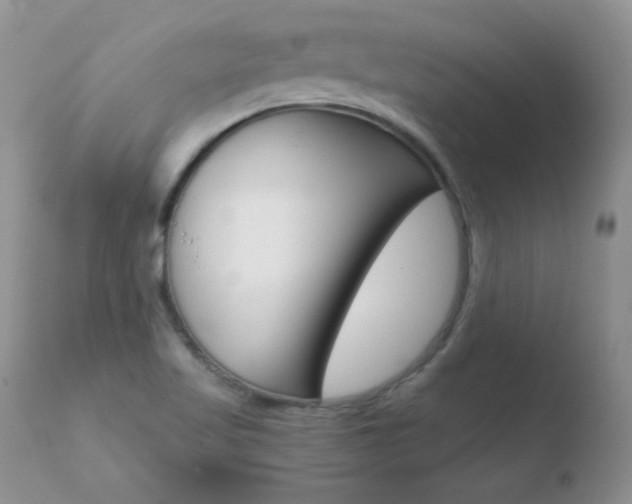 X0000110671509200906121048