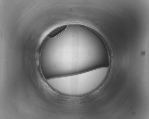 X0000110671510200906121048