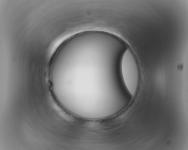 X0000110671511200906121048