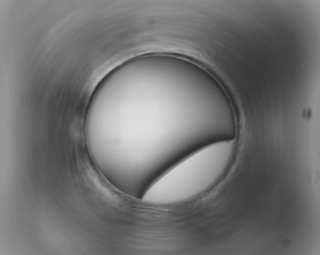 X0000110671513200906121048