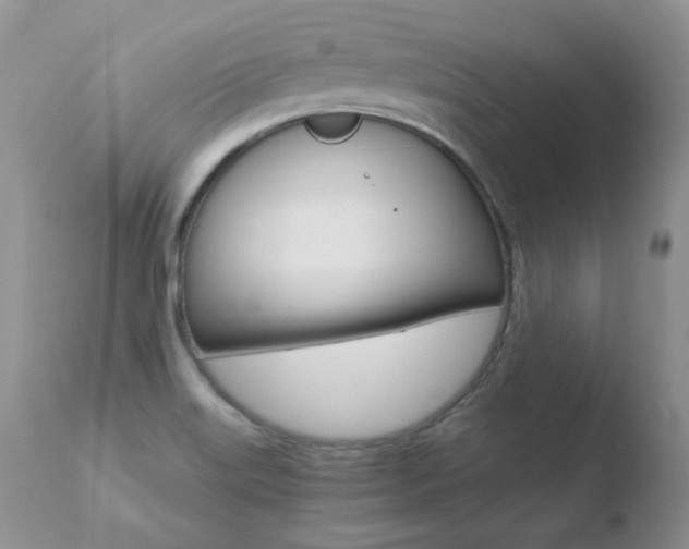 X0000110671515200906121048