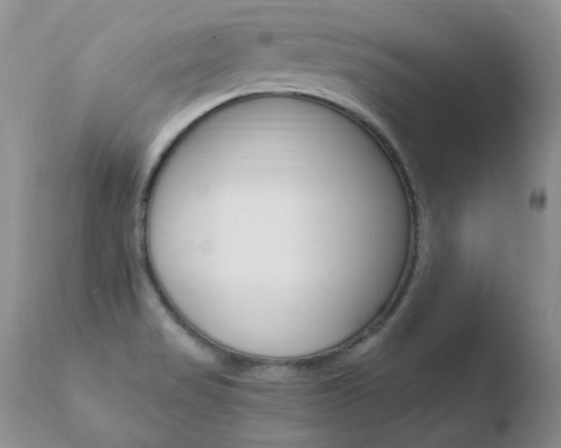 X0000110671517200906121048