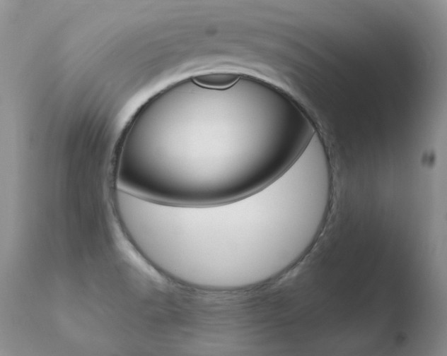X0000110671518200906121048