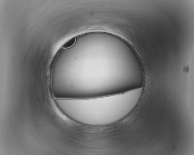 X0000110671519200906121048