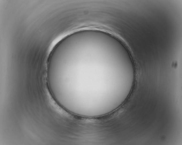 X0000110671522200906121048