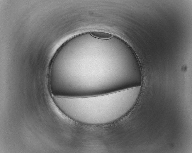 X0000110671523200906121048