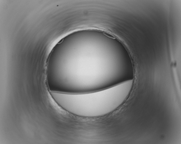 X0000110671524200906121048