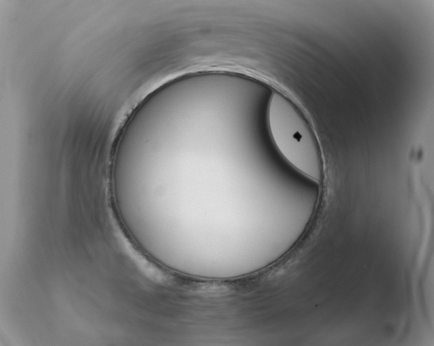 X0000110671525200906121048