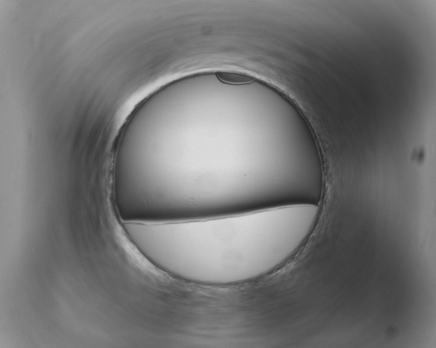 X0000110671526200906121048