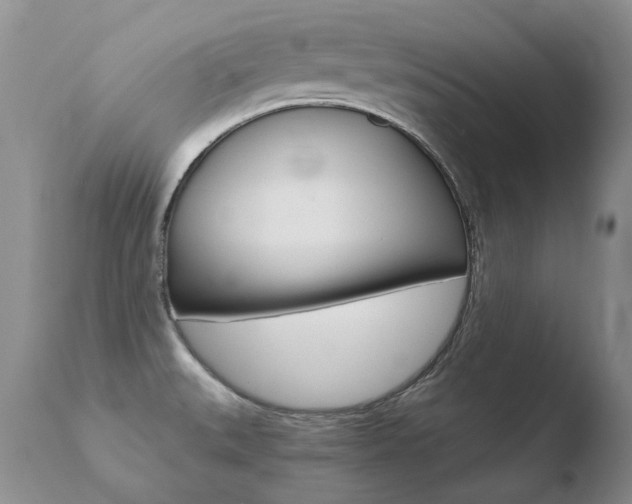 X0000110671527200906121048