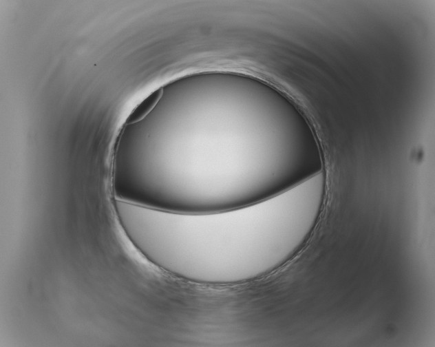 X0000110671528200906121048