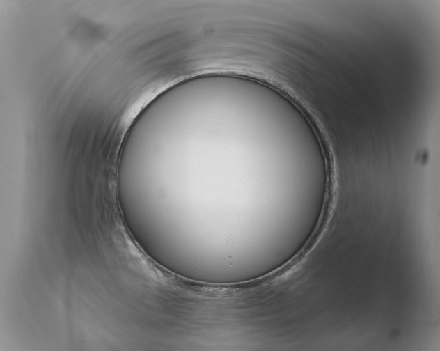 X0000110671529200906121048