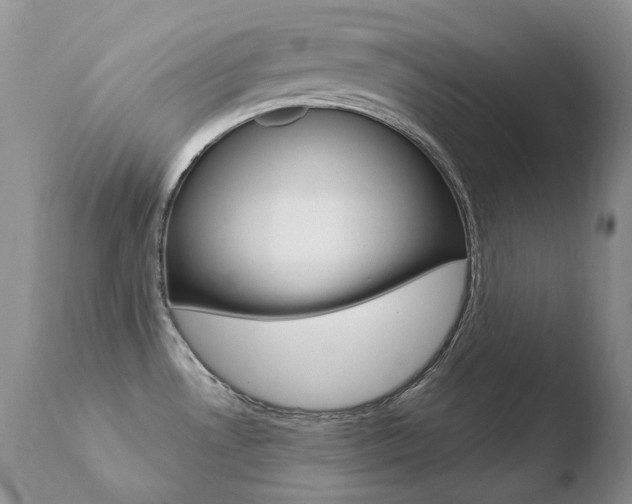 X0000110671530200906121048