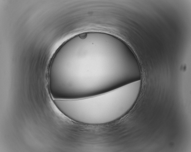 X0000110671531200906121048
