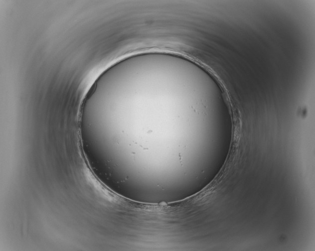 X0000110671532200906121048