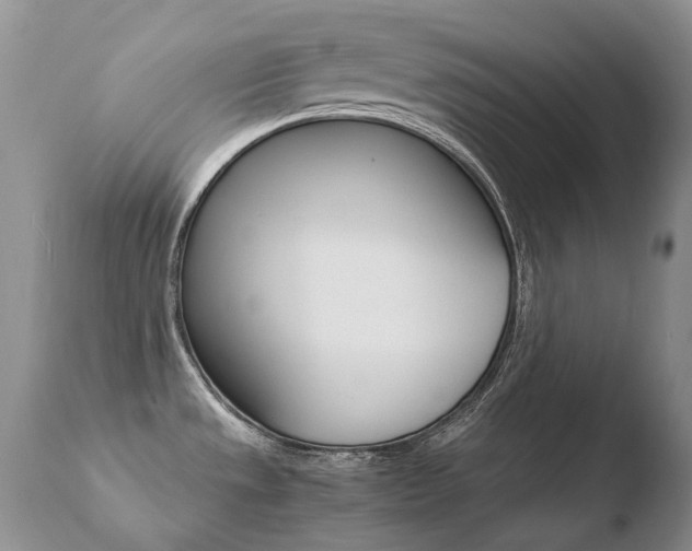X0000110671533200906121048