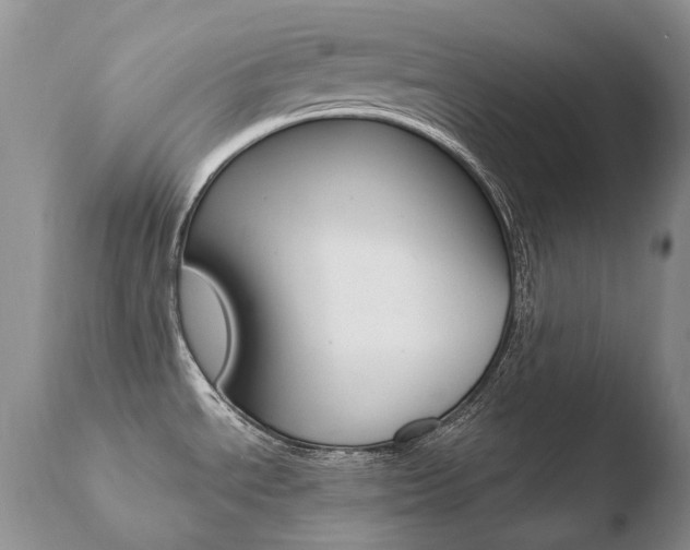 X0000110671534200906121048
