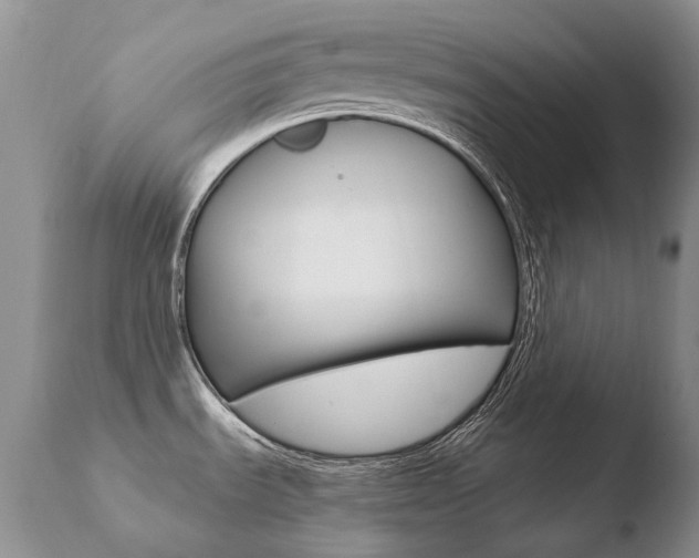 X0000110671535200906121048