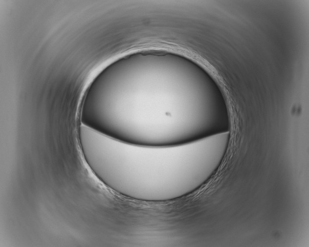 X0000110671536200906121048