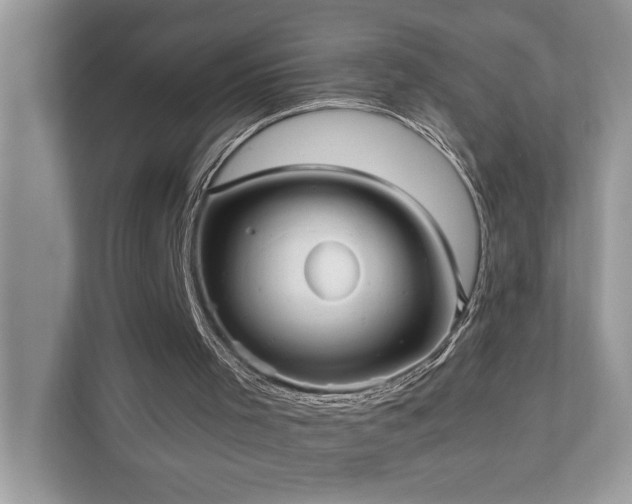 X0000110670001200906121319