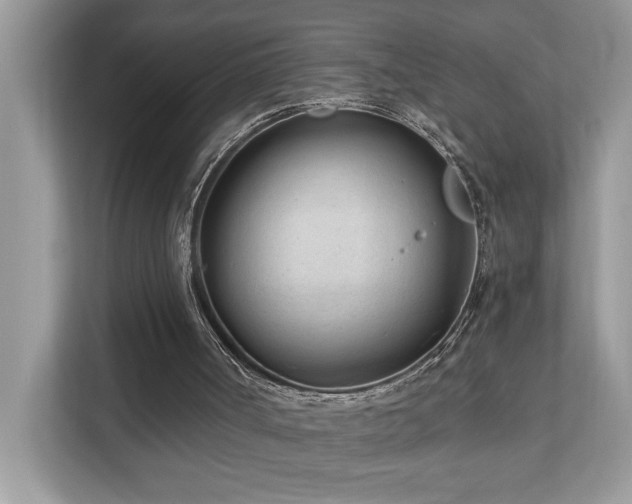 X0000110670002200906121319