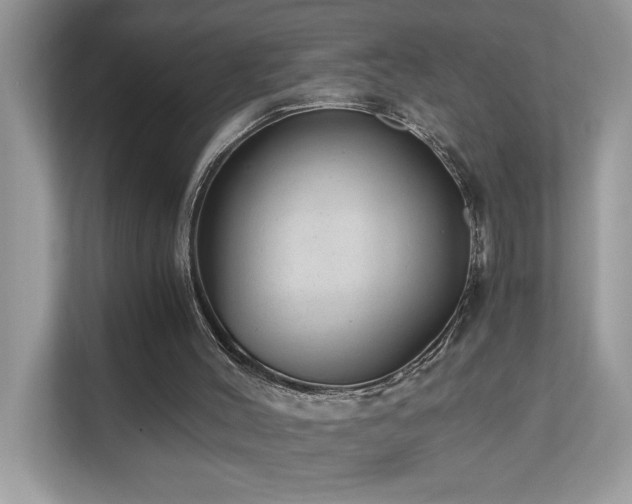 X0000110670004200906121319