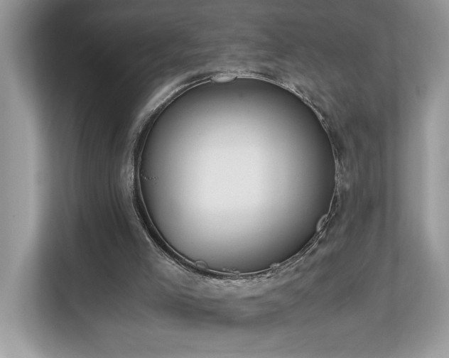 X0000110670005200906121319