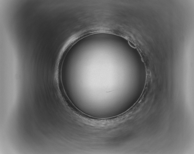 X0000110670006200906121319